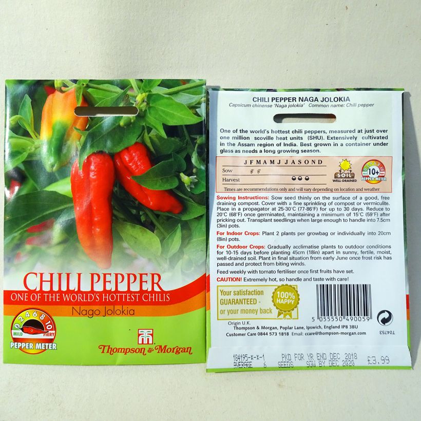 Exemplo de amostra de Piment Naga Jolokia - Capsicum annuum per pack of 6 seeds tal como entregue