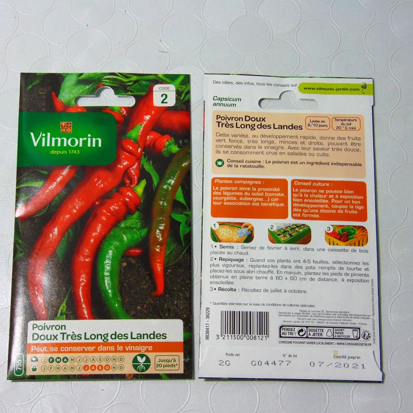Exemplo de amostra de Piment doux très long des Landes - Poivron - Vilmorin per pack of 240 seeds (2g) tal como entregue