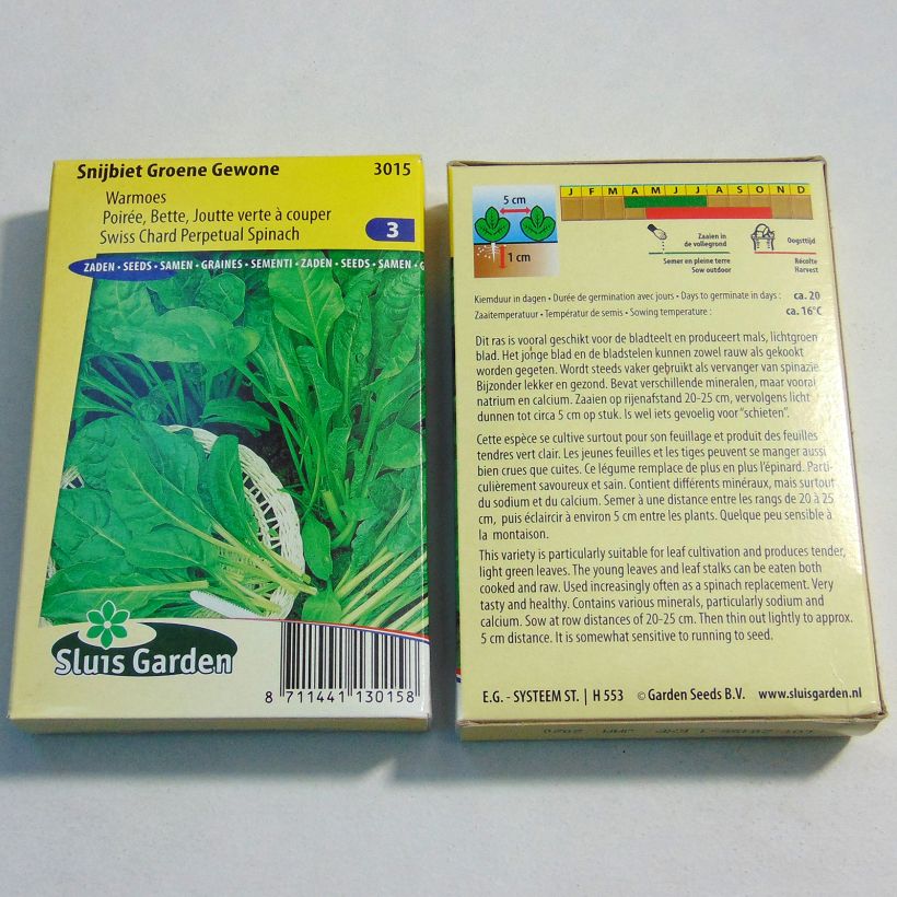 Exemplo de amostra de Poirée verte à couper Groene Gewone - Blette - Beta vulgaris per pack of 1000 seeds (25g) tal como entregue
