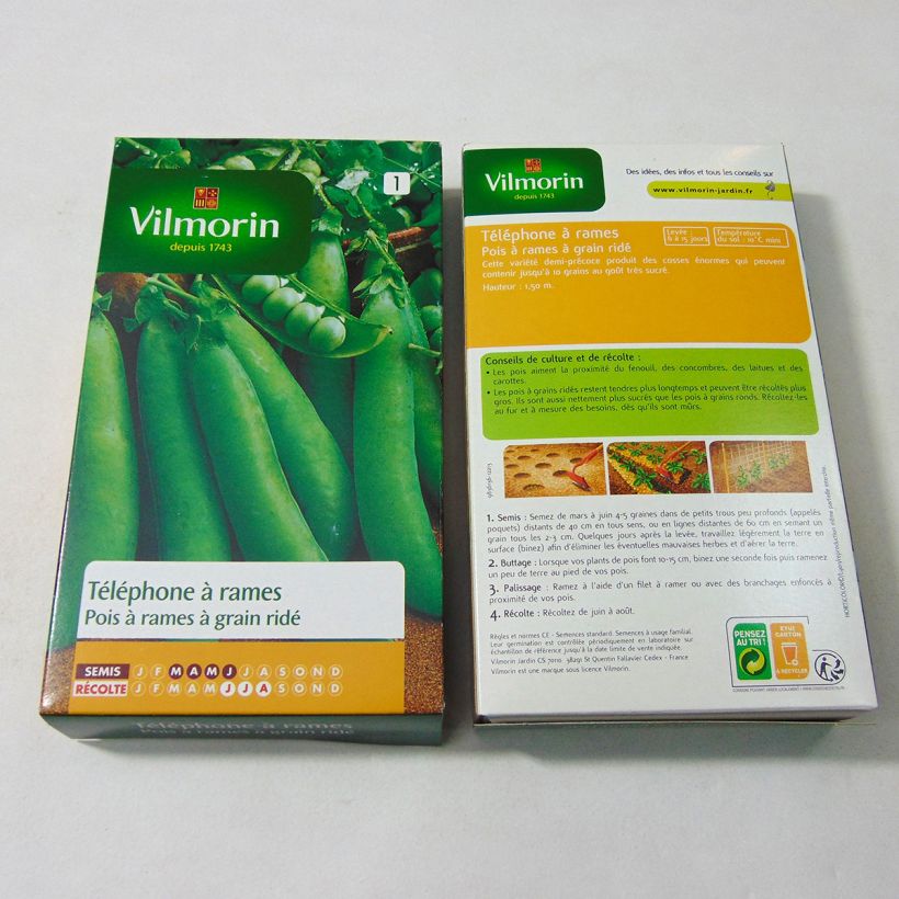 Exemplo de amostra de Pois à rames Téléphone à grains ridés  - Vilmorin per pack of 600 seeds (200g) tal como entregue