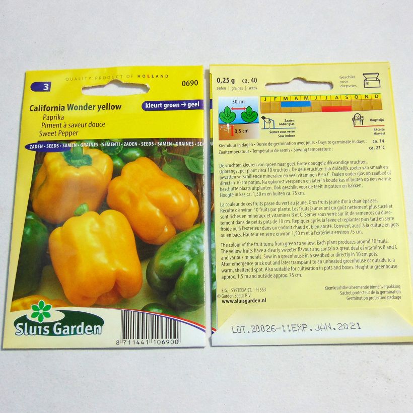 Exemplo de amostra de Poivron Golden Calwonder - Piment à saveur douce per pack of 40 seeds tal como entregue