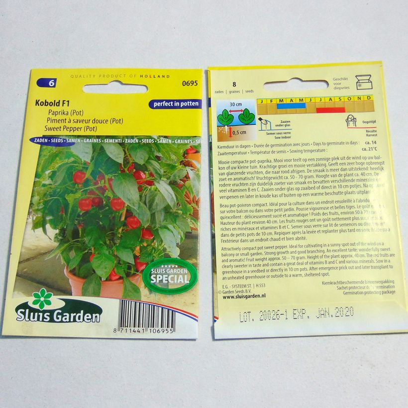 Exemplo de amostra de Poivron Kobold F1 - Piment à saveur douce o saco de 8 sementes aproximadamente tal como entregue