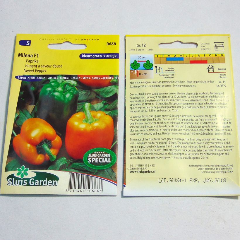 Exemplo de amostra de Poivron Deliro F1 - Piment à saveur douce per pack of 12 seeds tal como entregue