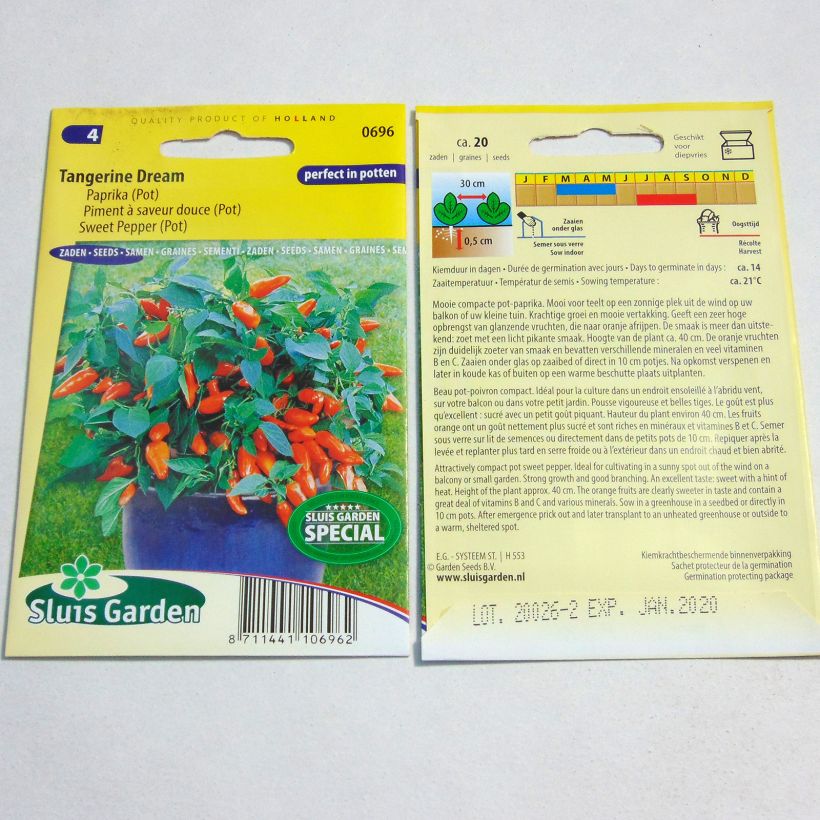 Exemplo de amostra de Poivron Tangerine Dream - Capsicum annuum per pack of 20 seeds tal como entregue