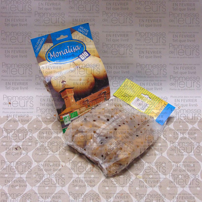 Exemplo de amostra de Pommes de terre Mona Lisa Bio - Solanum tuberosum Saco de 25 plantas size 28/45 mm tal como entregue