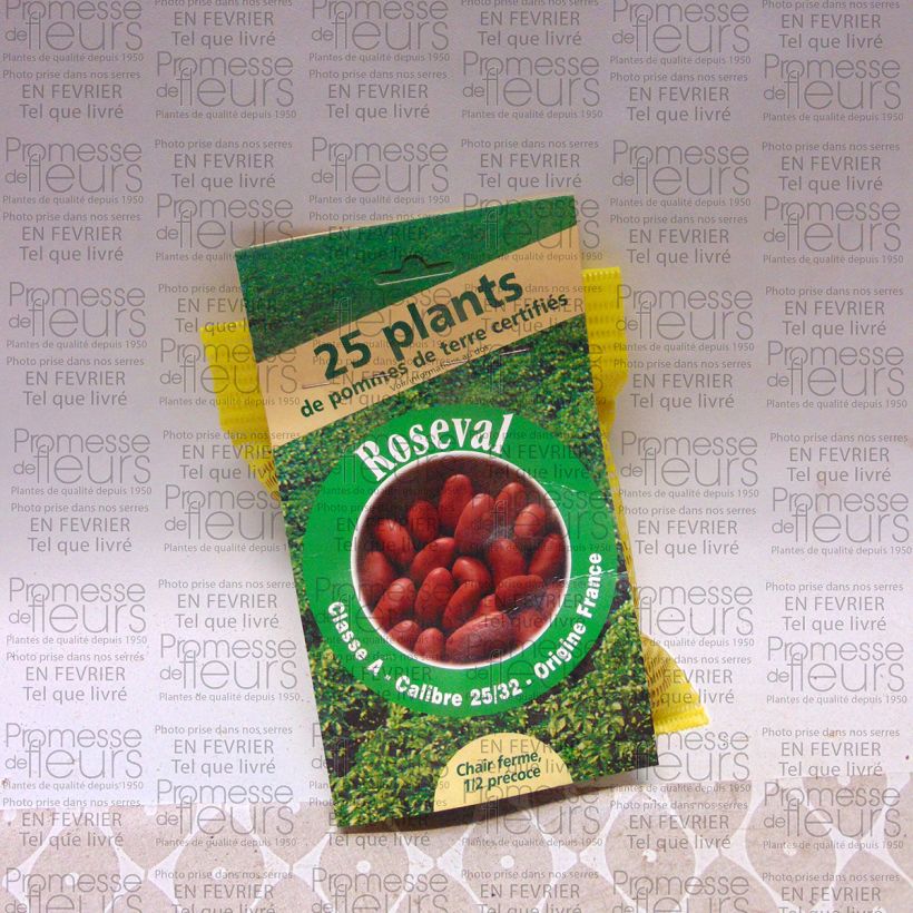 Exemplo de amostra de Pommes de terre Roseval rouge Sac de 25 plants Kaliber/Größe 25/32 mm tal como entregue