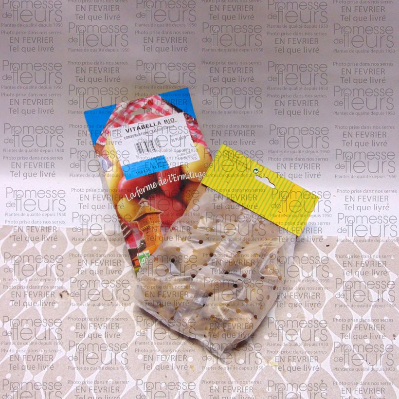 Exemplo de amostra de Pommes de terre Vitabella Bio - Solanum tuberosum Sac de 25 plants Kaliber/Größe 28/45 mm tal como entregue