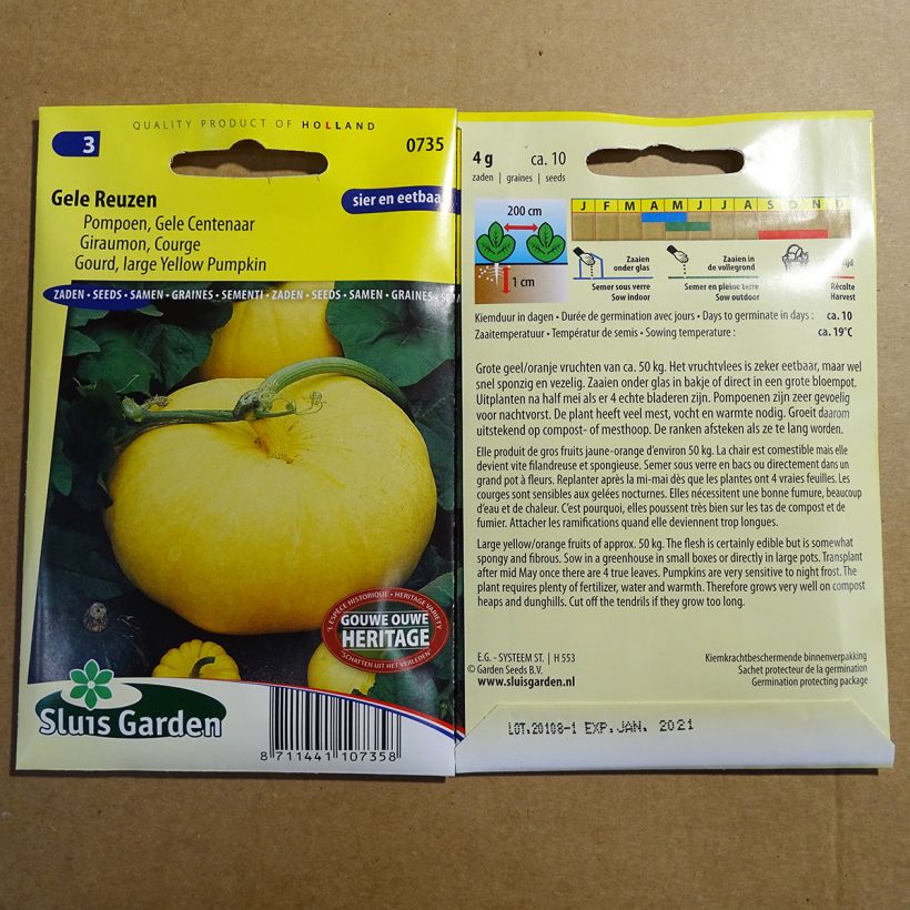 Exemplo de amostra de Potiron Giraumon Gele Reuzen - Cucurbita maxima per pack of 10 seeds (4g) tal como entregue