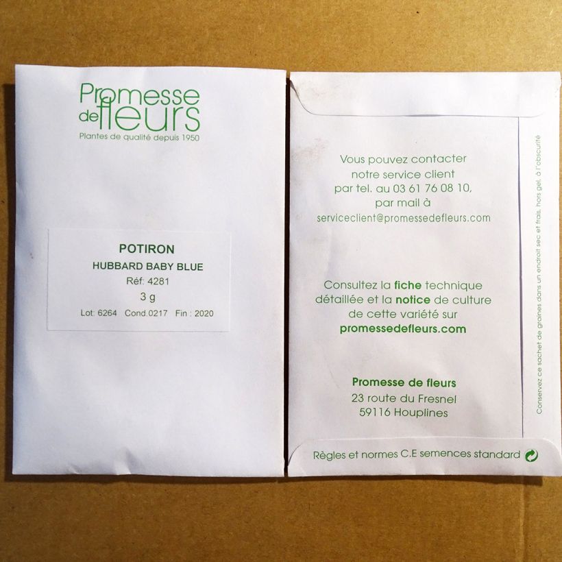 Exemplo de amostra de Potiron Hubbard Baby Blue - Cucurbita maxima per pack of 20 seeds (3g) tal como entregue