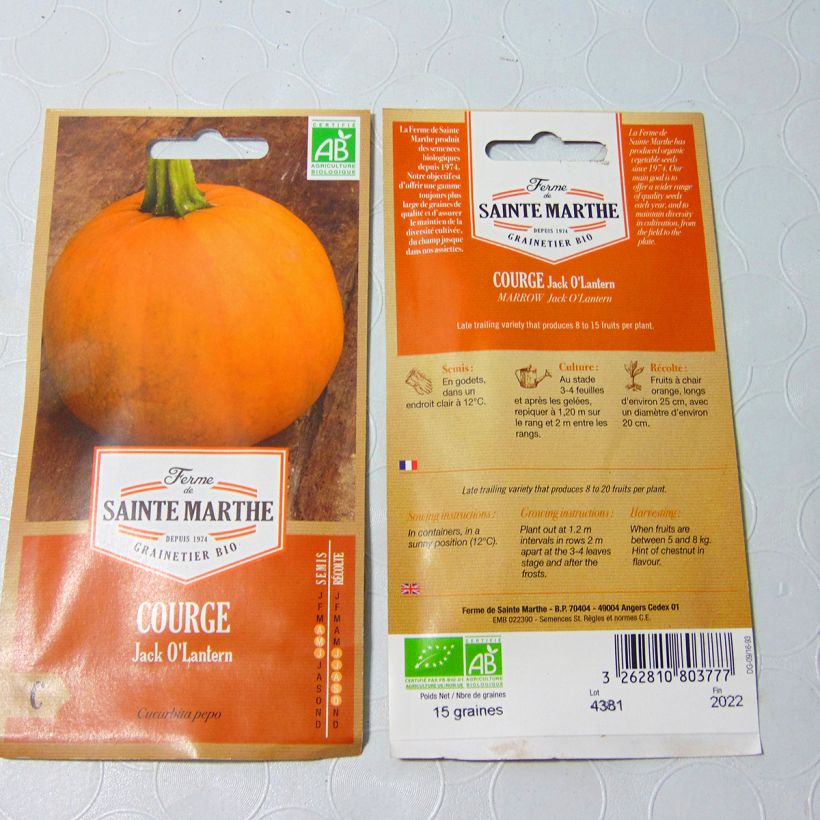 Exemplo de amostra de Citrouille d'Halloween Jack O'Lantern Bio - Ferme de Sainte Marthe die Tüte mit 8 Samen (1g) tal como entregue