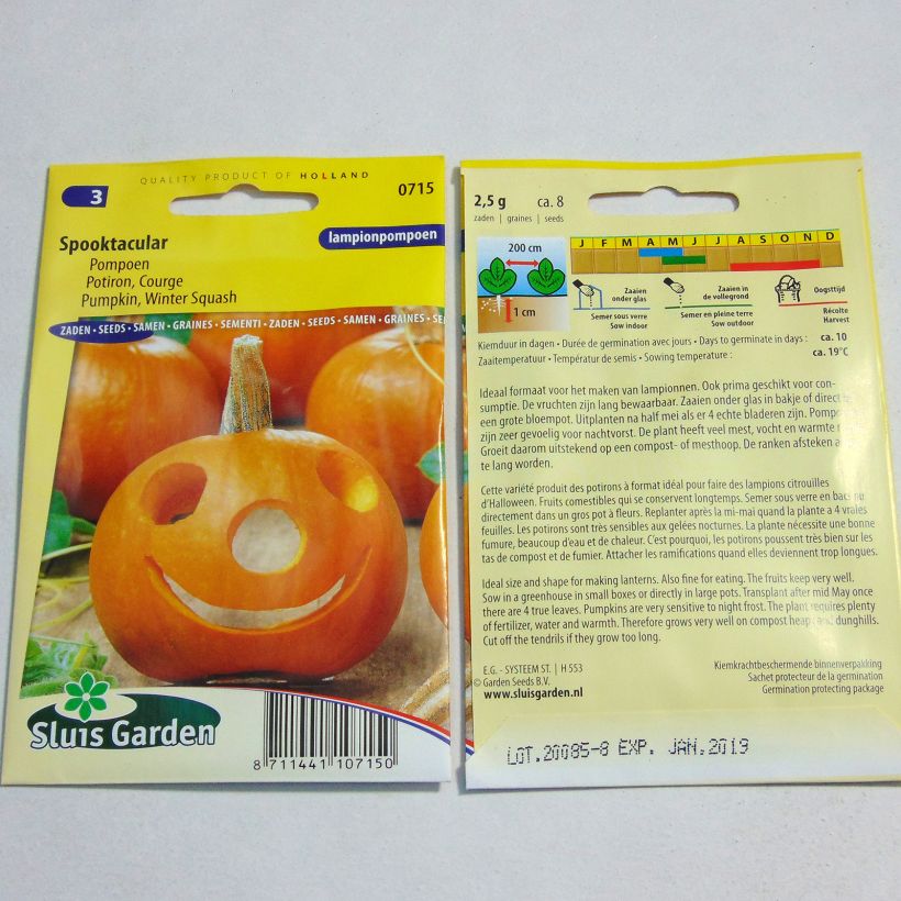 Exemplo de amostra de Potiron d'Halloween Spooktacular - Courge - Cucurbita pepo per pack of 8 seeds (2g) tal como entregue