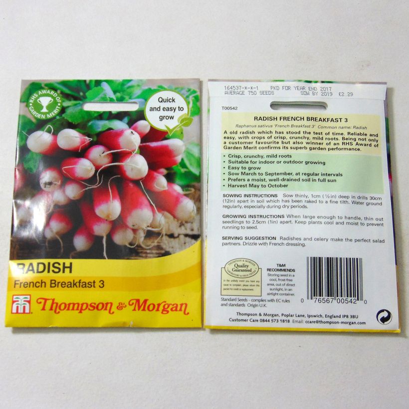 Exemplo de amostra de Radis French Breakfast 3 - Raphanus sativus die Tüte mit 1000 Samen tal como entregue