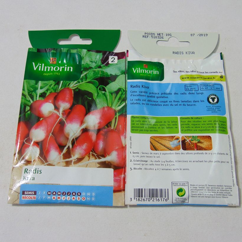 Exemplo de amostra de Radis Kiva - Vilmorin die Tüte mit 800 Samen (10g) tal como entregue