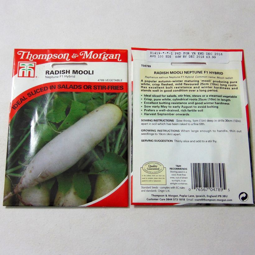 Exemplo de amostra de Radis Mooli Neptune F1 - Raphanus sativus die Tüte mit 100 Samen tal como entregue