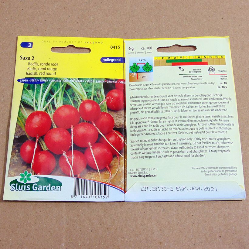 Exemplo de amostra de Radis Rond rouge Saxa 2 - Raphanus sativus die Tüte mit 700 Samen (6g) tal como entregue