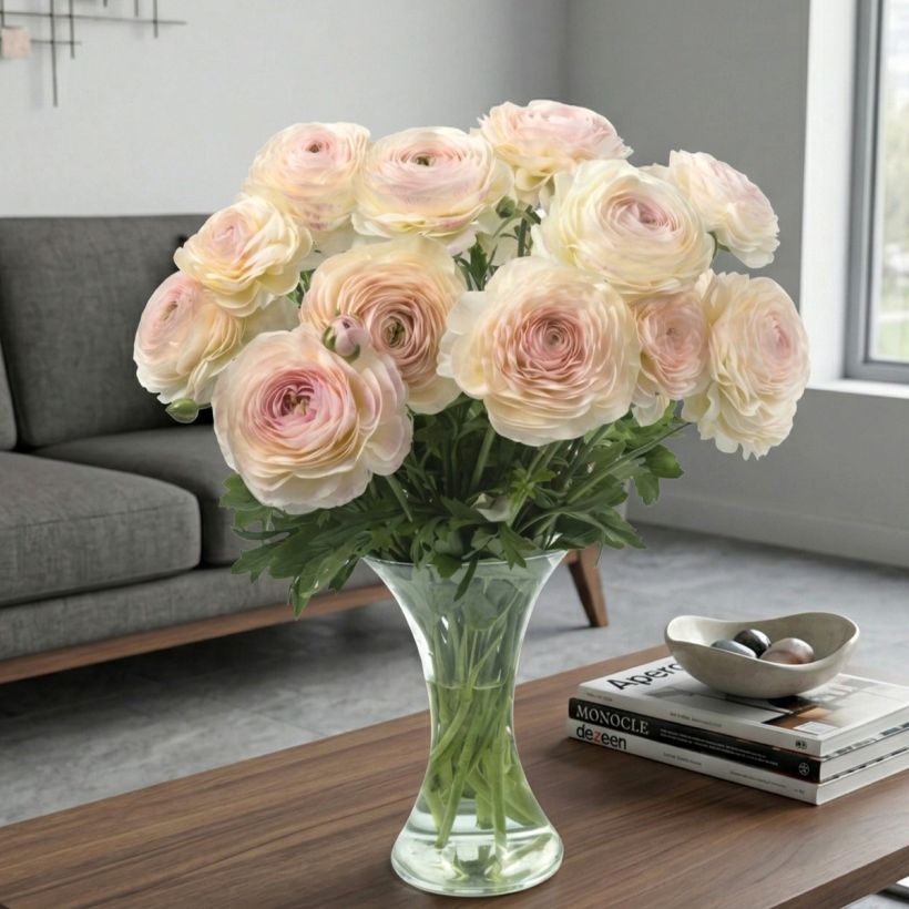 Ranúnculo Romance Maritime - Ranunculus asiaticus (Hábito)