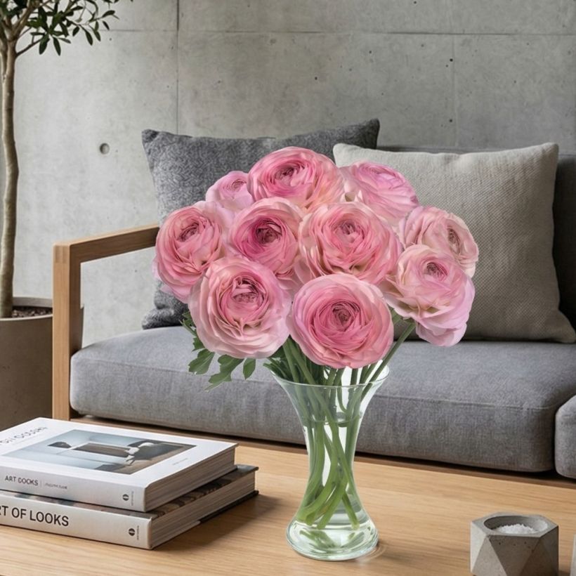 Ranúnculo Romance Seine - Ranunculus asiaticus (Hábito)