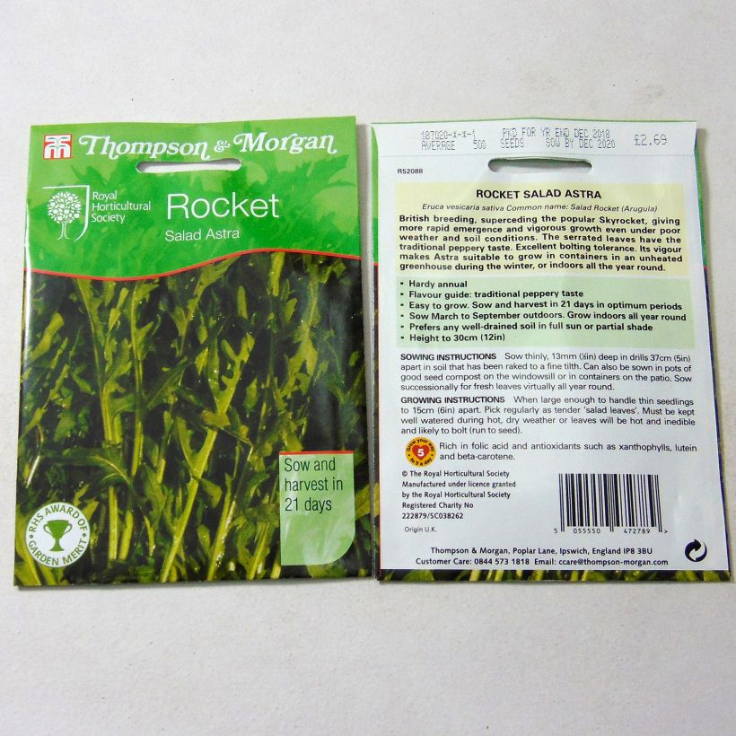 Exemplo de amostra de Roquette Astra die Tüte mit 750 Samen tal como entregue