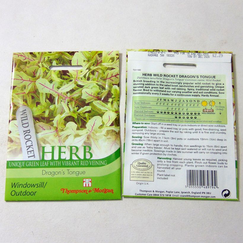 Exemplo de amostra de Roquette Dragons Tongue per pack of 500 seeds tal como entregue