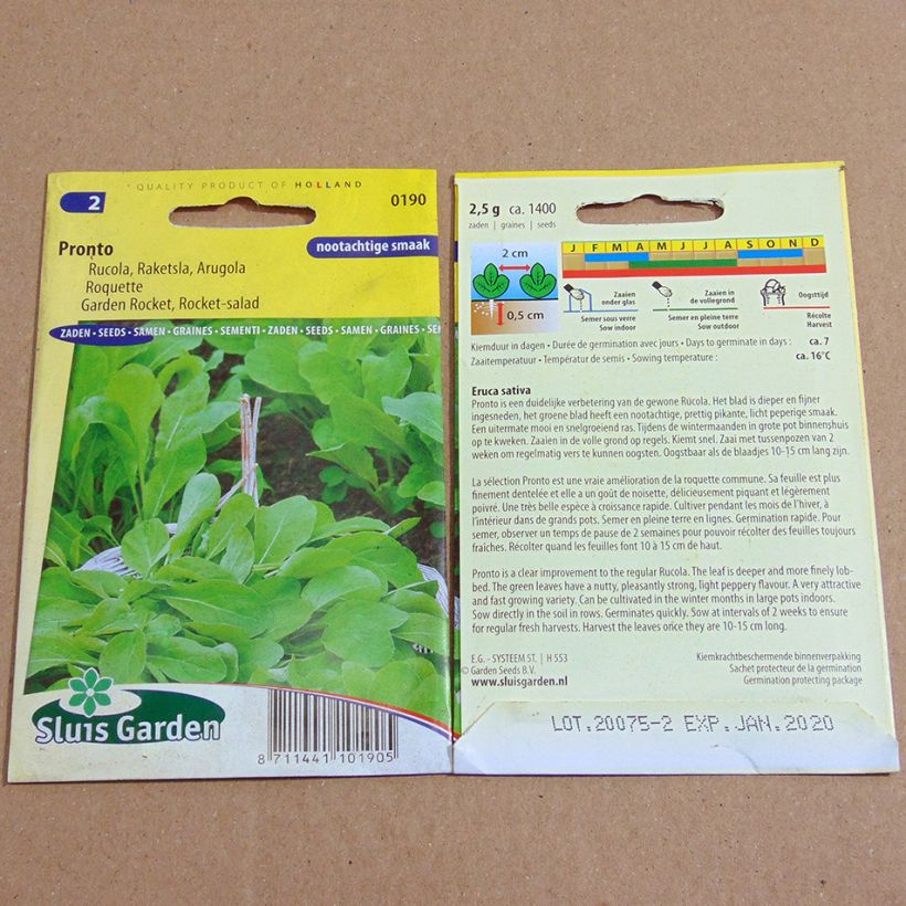 Exemplo de amostra de Roquette Pronto - Eruca sativa per pack of 1400 seeds (2g) tal como entregue