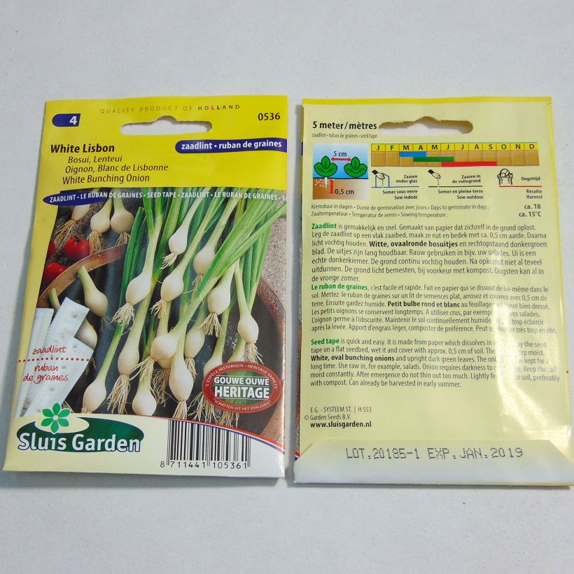 Exemplo de amostra de Ruban 5 m Oignon Blanc de Lisbonne - Allium cepa die Tüte mit Samen von 5 Gramm tal como entregue