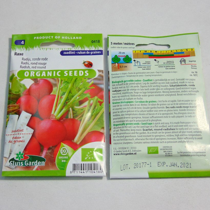 Exemplo de amostra de Ruban 5m Radis Rond Rouge Raxe Bio - Raphanus sativus Graines en ruban tal como entregue
