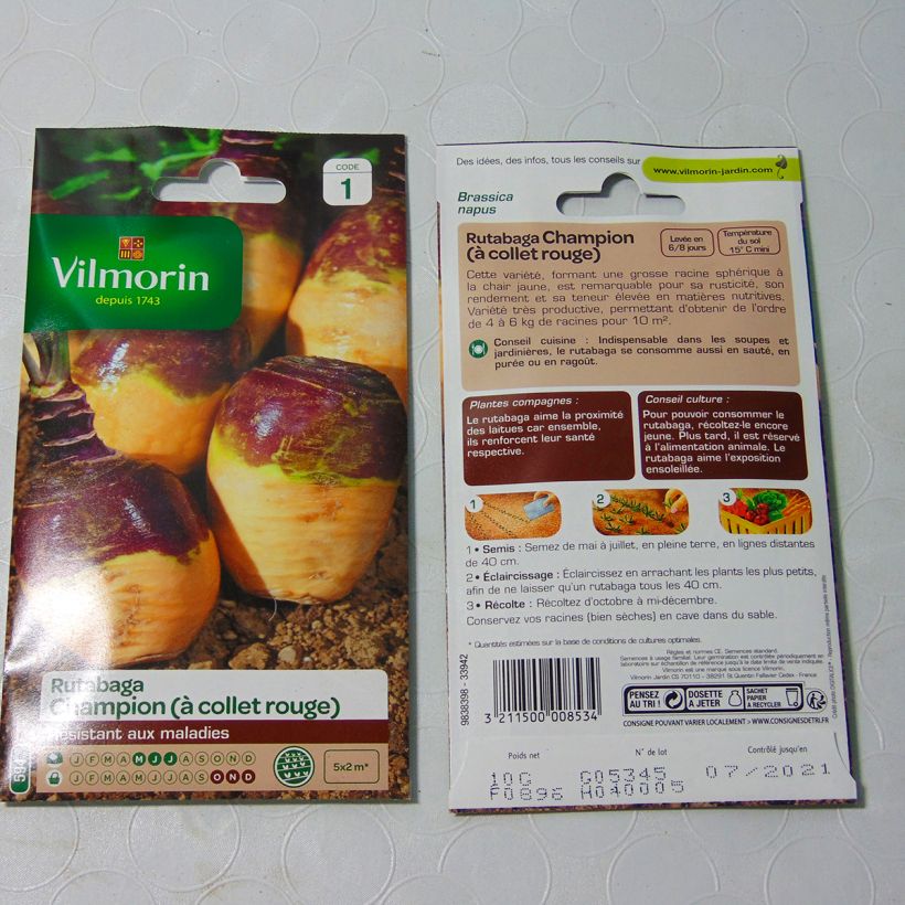 Exemplo de amostra de Rutabaga Champion (jaune à collet rouge) - Vilmorin per pack of 3500 seeds (10g) tal como entregue