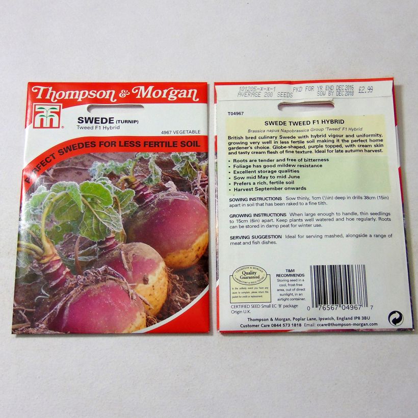 Exemplo de amostra de Rutabaga Tweed die Tüte mit 200 Samen tal como entregue