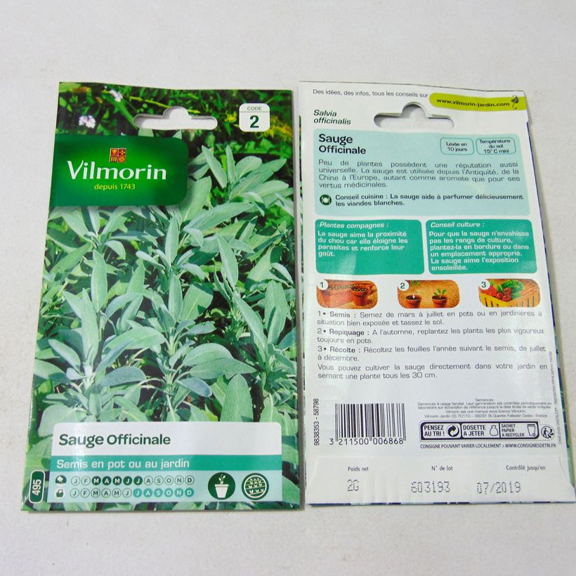 Exemplo de amostra de Sauge officinale - Vilmorin die Tüte mit 500 Samen (2g) tal como entregue