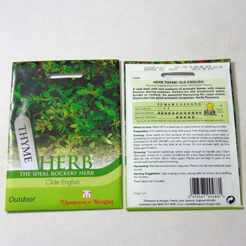 Exemplo de amostra de Thym Old English die Tüte mit 500 Samen tal como entregue