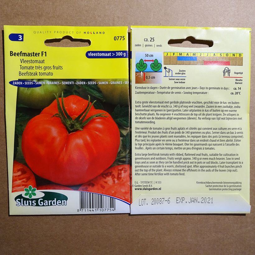 Exemplo de amostra de Tomate Beefmaster F1 - Très gros fruits  die Tüte mit 25 Samen tal como entregue