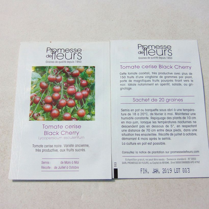 Exemplo de amostra de Tomate Black Cherry -  Tomate Cerise noire per pack of 50 seeds (0,1g) tal como entregue