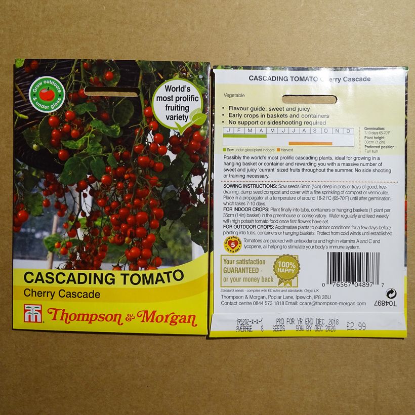 Exemplo de amostra de Tomate Cherry Cascade - Tomate-cerise die Tüte mit 8 Samen tal como entregue
