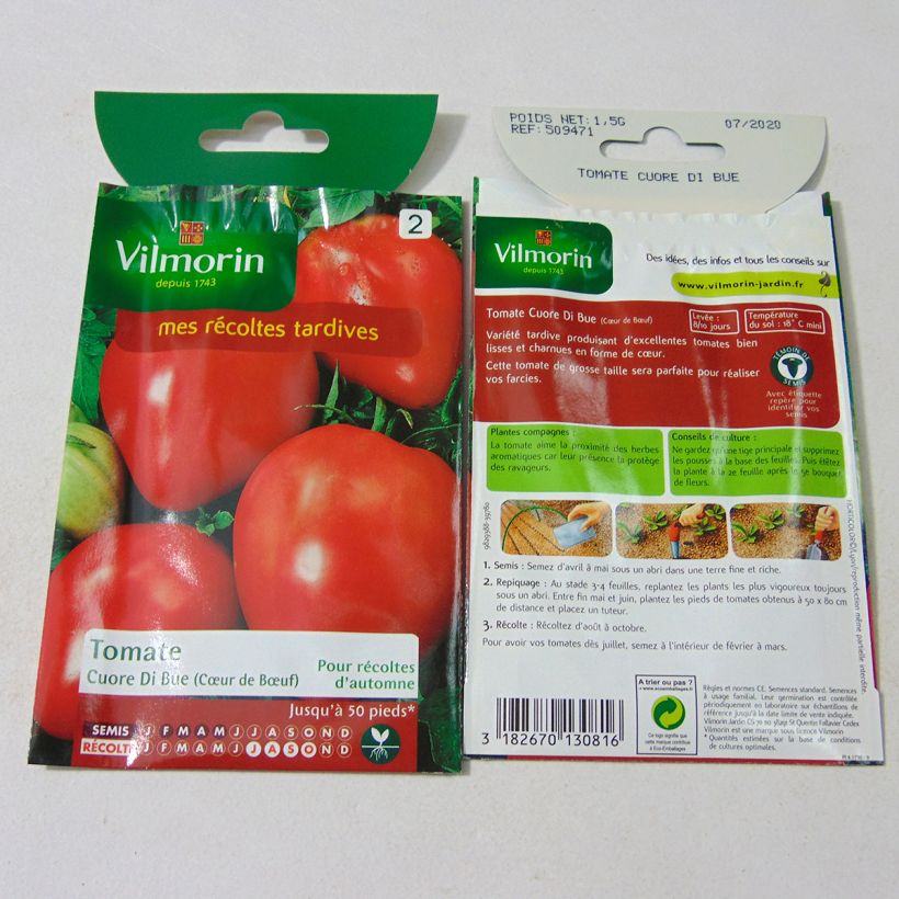 Exemplo de amostra de Tomate Cuor di Bue - Cœur de bœuf - Vilmorin die Tüte mit 300 Samen (1g) tal como entregue