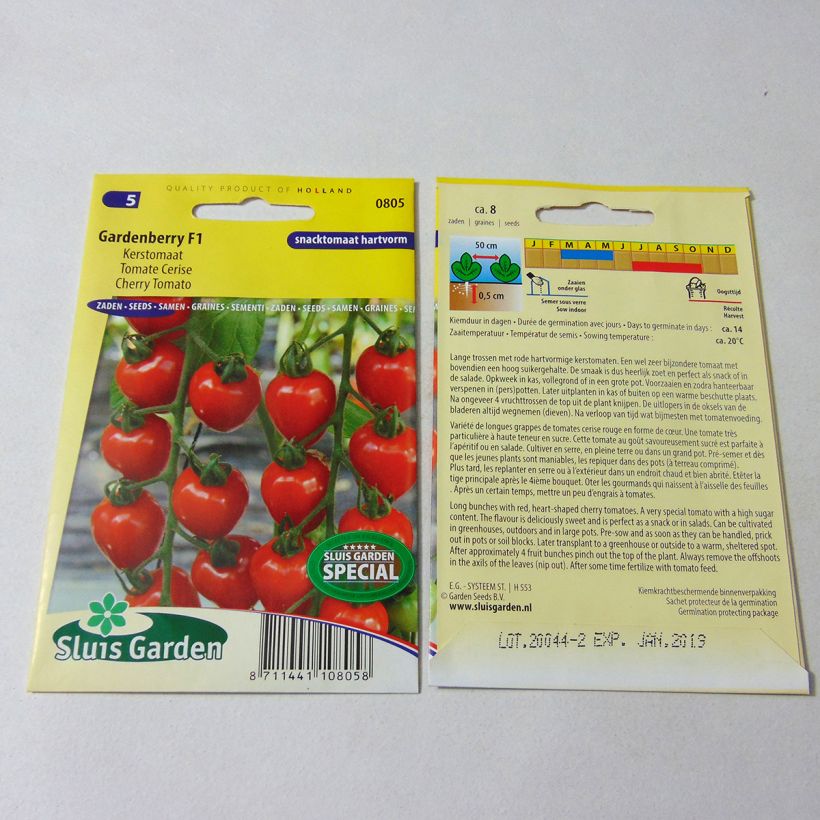 Exemplo de amostra de Tomate Gardenberry F1 - Tomate-cerise die Tüte mit 7 Samen tal como entregue