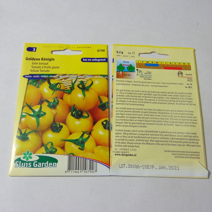 Exemplo de amostra de Tomate Goldene Königin - Tomate Reine d'or die Tüte mit 75 Samen tal como entregue