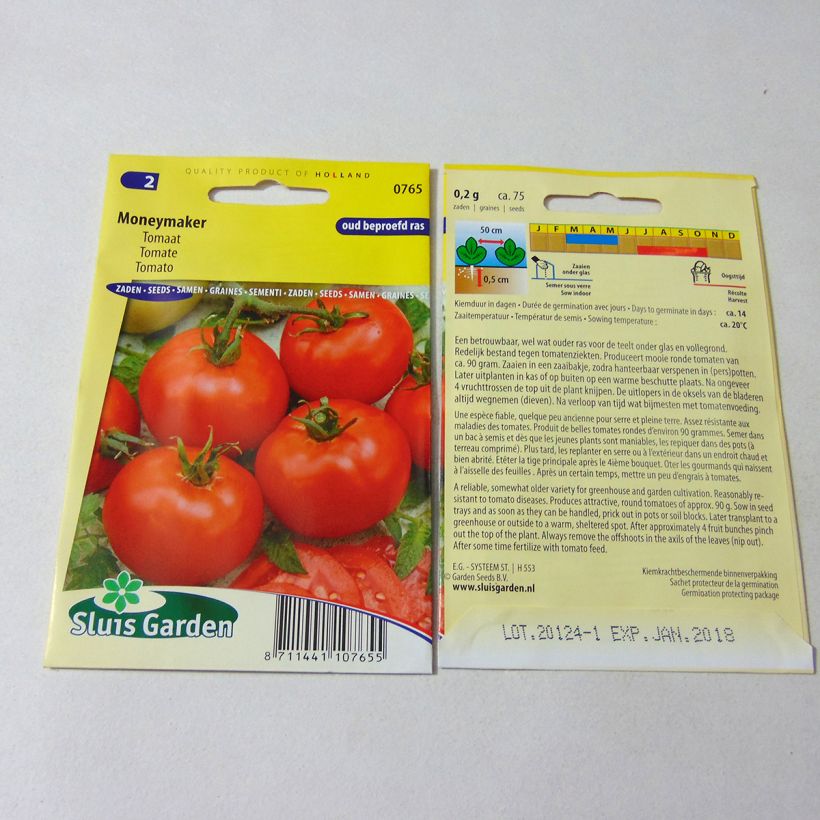 Exemplo de amostra de Tomate Moneymaker - Solanum lycopersicum  die Tüte mit 300 Samen (1g) tal como entregue