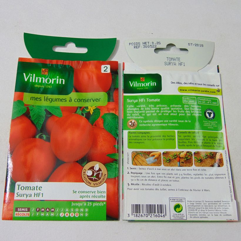 Exemplo de amostra de Tomate Surya F1 (Création Vilmorin) - Vilmorin die Tüte mit 60 Samen (0.2g) tal como entregue