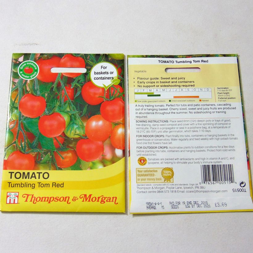 Exemplo de amostra de Tomate Tumbling Tom Red - Tomate-cerise die Tüte mit 15 Samen tal como entregue