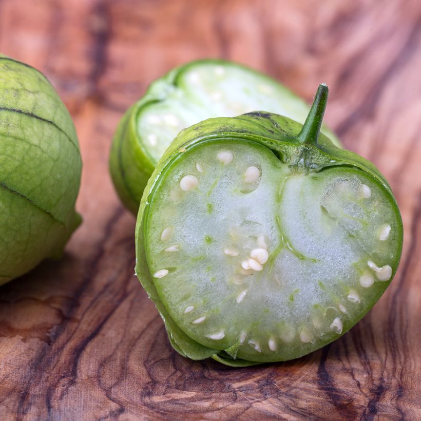 Tomatillo Mexicano Bio - Ferme de Sainte Marthe (Colheita)