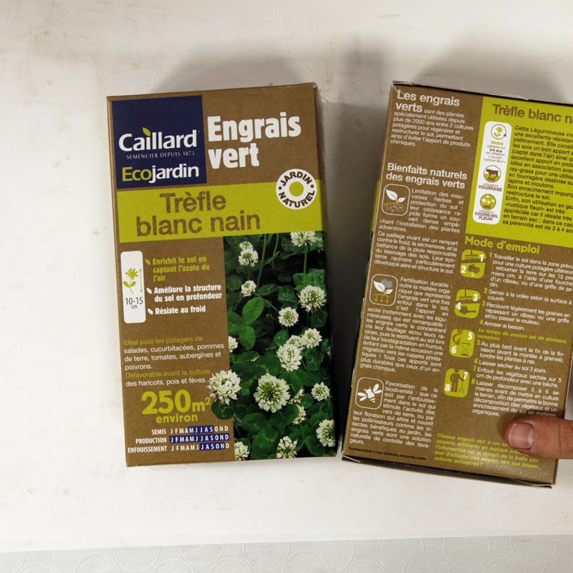 Exemplo de amostra de Trèfle blanc nain - Engrais vert Graines tal como entregue