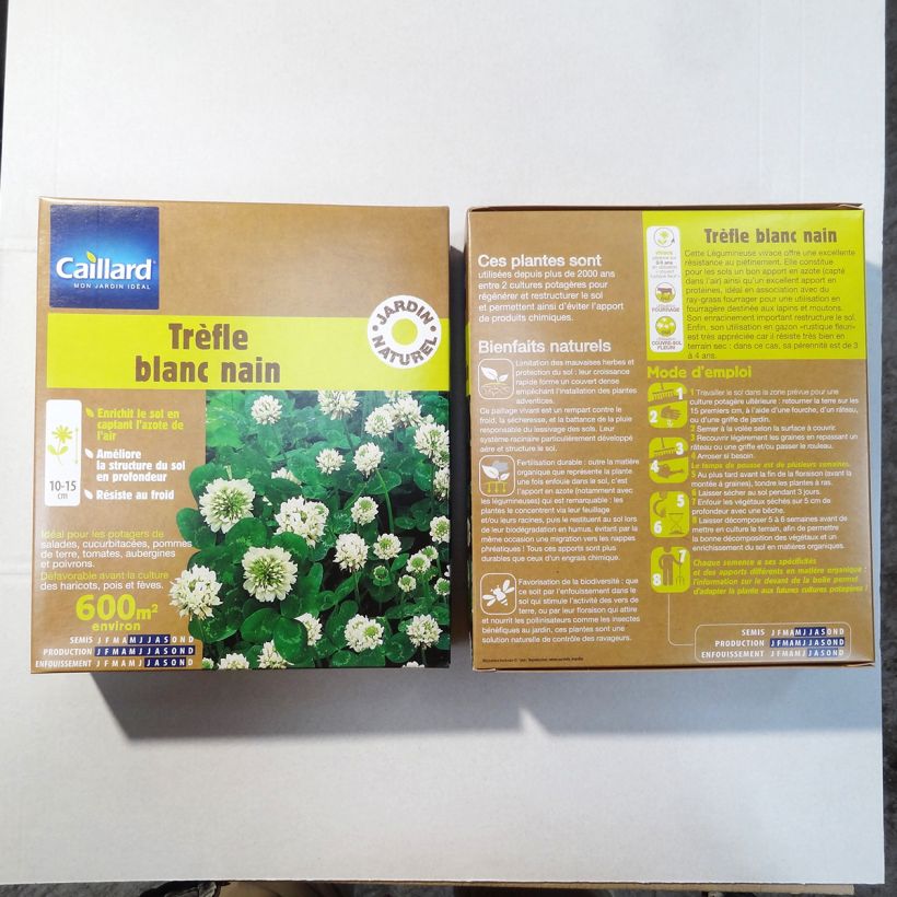 Exemplo de amostra de Trèfle blanc nain - Engrais vert Graines tal como entregue