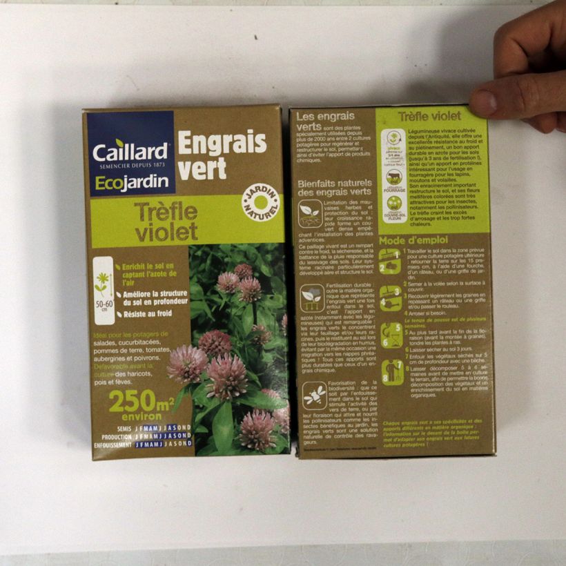 Exemplo de amostra de Tréfle violet 250 m² - Engrais vert Graines tal como entregue