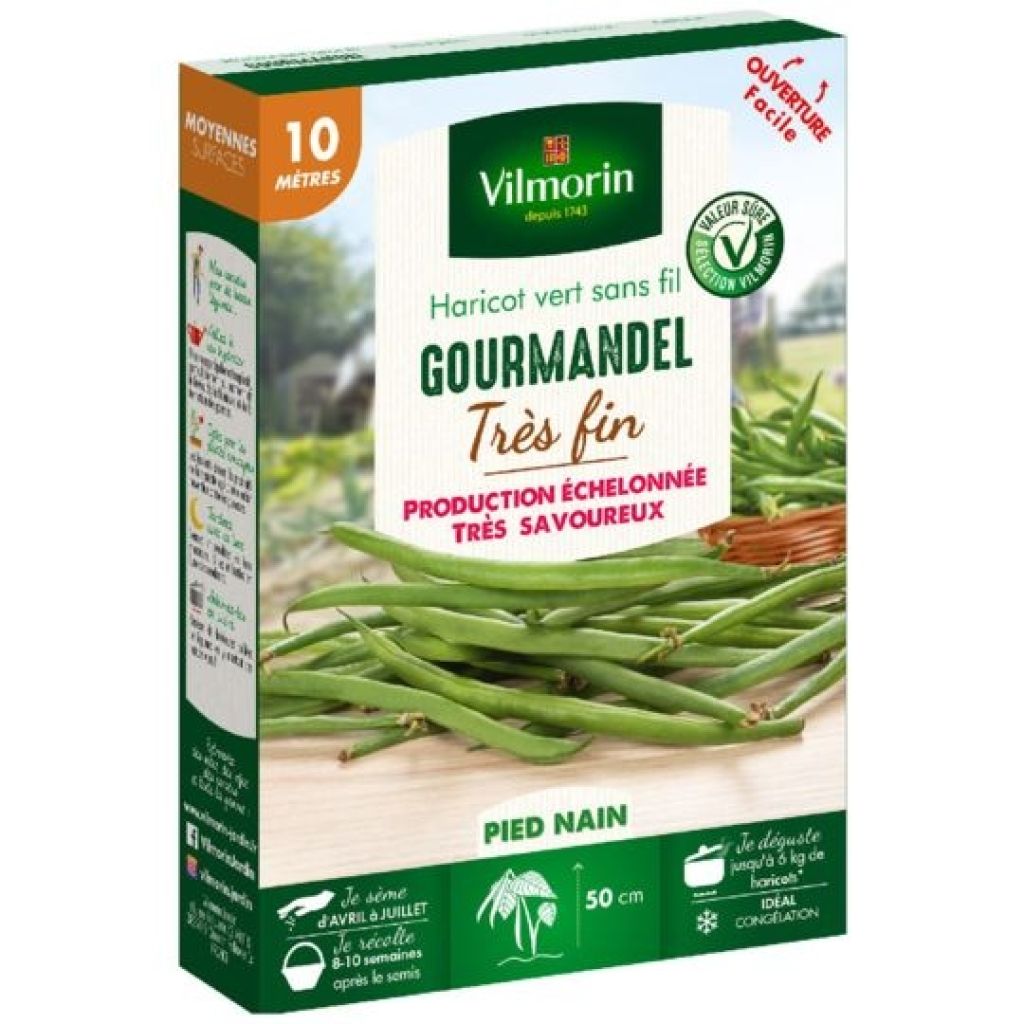 Feijão-verde anão Gourmandel Vilmorin
