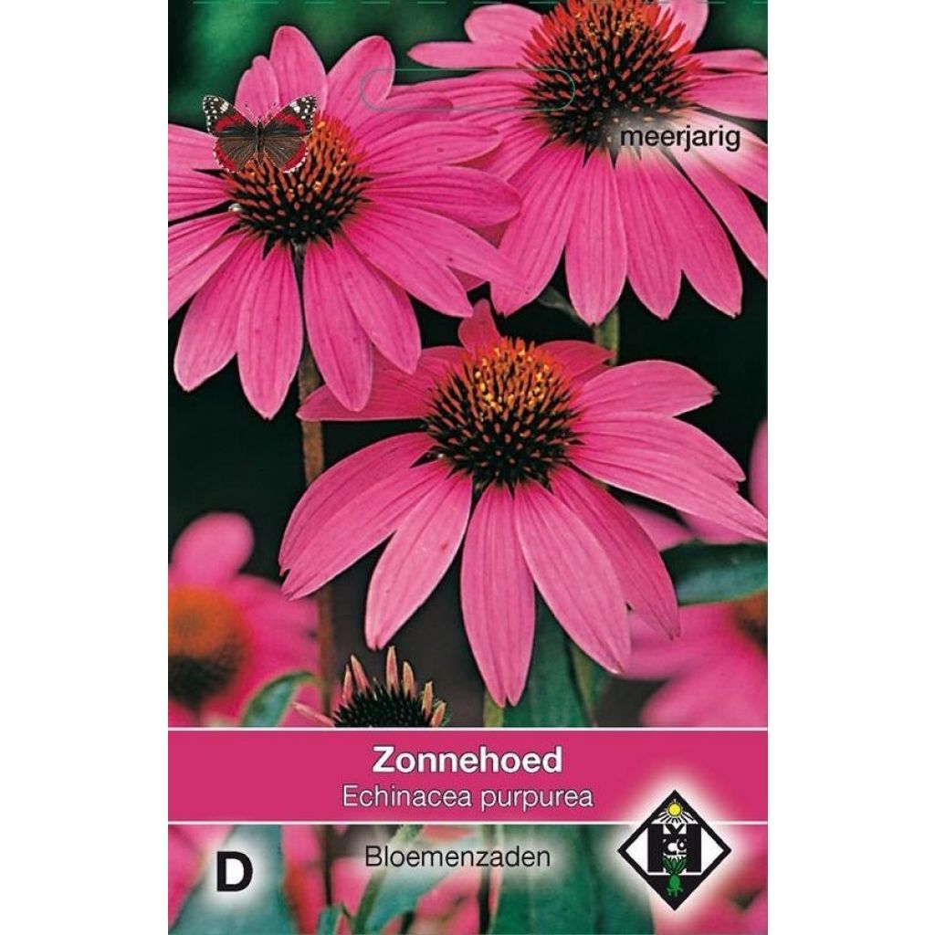 Echinacea purpurea Zonnehoed em sementes