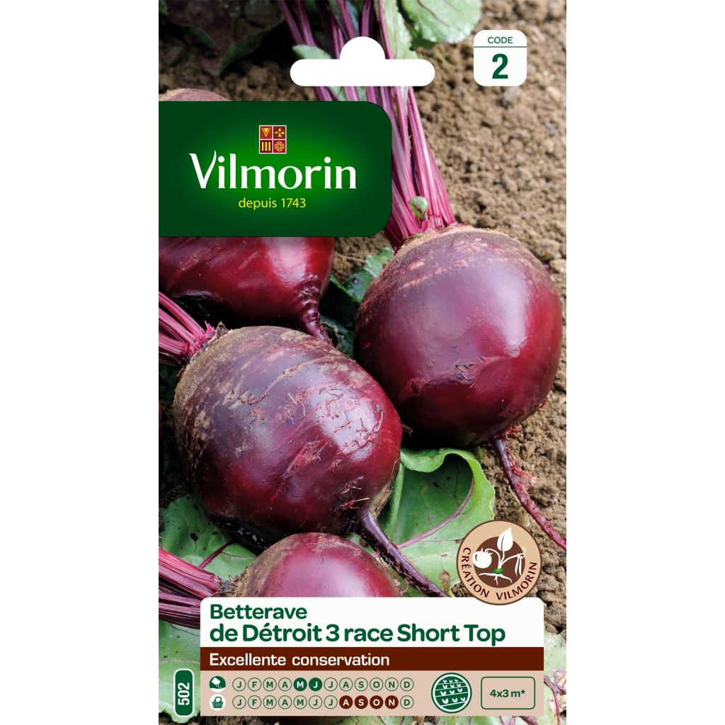 Beterraba vermelha Detroit 3, Variedade de Topo Curto Vilmorin