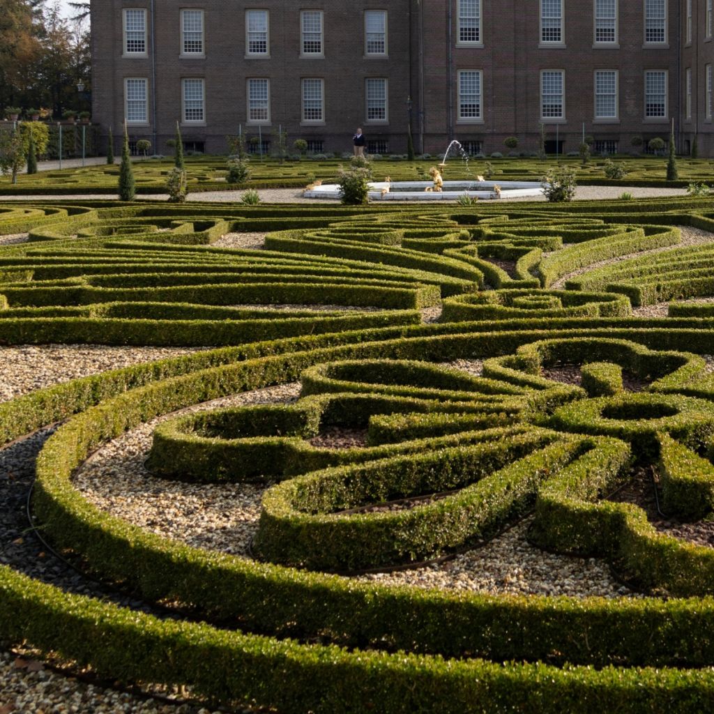 Buxo Betterbuxus Babylon Beauty