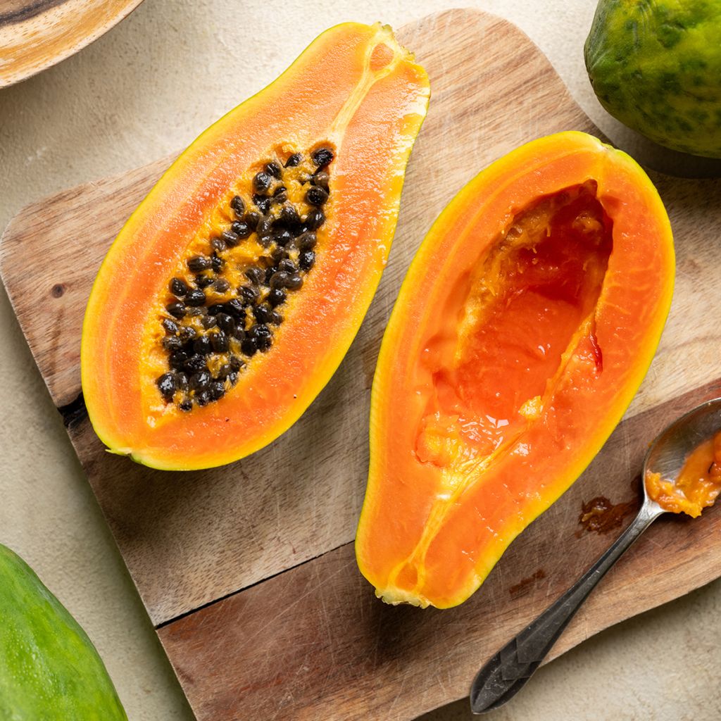 Mamoeiro - Carica papaya