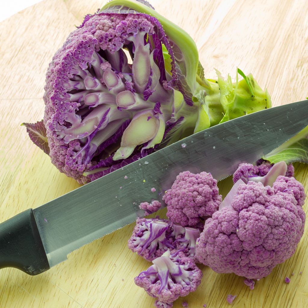 Couve-flor Graffiti F1