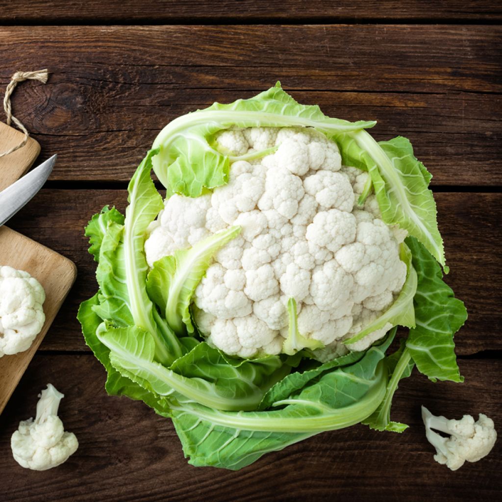 Couve-flor Locris F1 híbrido F1 Vilmorin